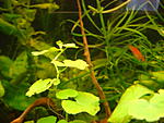 DSC02921