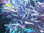 IMG 20160228 211430