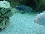 IMG 6415