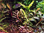 DSCF1742