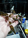 IMG 20160314 111300