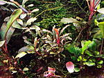 DSCF1727
