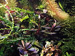 DSCF1751