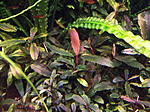 DSCF1733