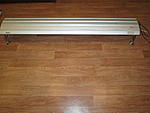 IMG 0516