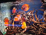 DSC02541