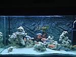 IMG 6409