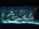 IMG 6408