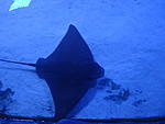 DSC02531