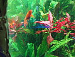 DSC02539