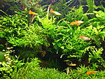 DSCF4068