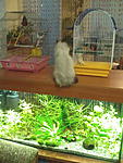 IMG 20160307 191912