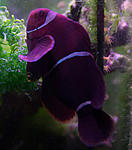 IMG 9639