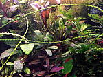 DSCF1740