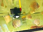IMG 3691