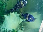 IMG 20160309 141120 614