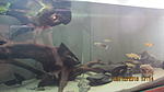 IMG 0282