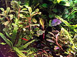 DSCF1743