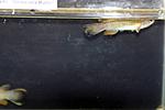 IMG 7725