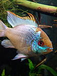 IMG 20160319 130926