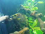 IMG 20160325 195240
