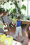 IMG 7731