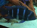 IMG 5854