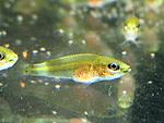IMG 4319