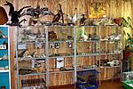 IMG 7722
