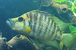 IMG 20160325 195753 1