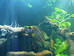 IMG 20160325 194912