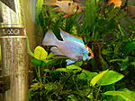 IMG 20160319 130153