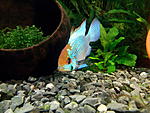 IMG 20160319 130242