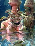 IMG 5578