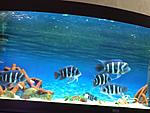 IMG 5889