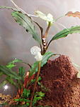IMG 20160305 150153