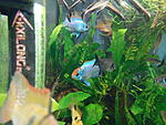 IMG 20160319 130341