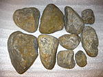 IMG 5042