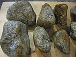 IMG 5008