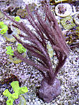 DSC 0434