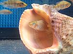 IMG 5206