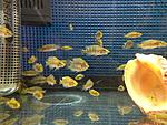 IMG 4975