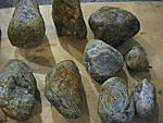 IMG 5007