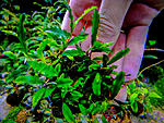 DSCF3473