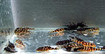 IMG 3980