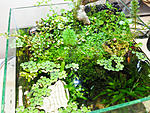 P4071800