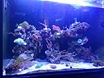 IMG 20160329 170019