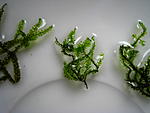 IMG 6352