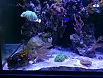 IMG 20160329 170131