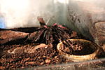 IMG 5318